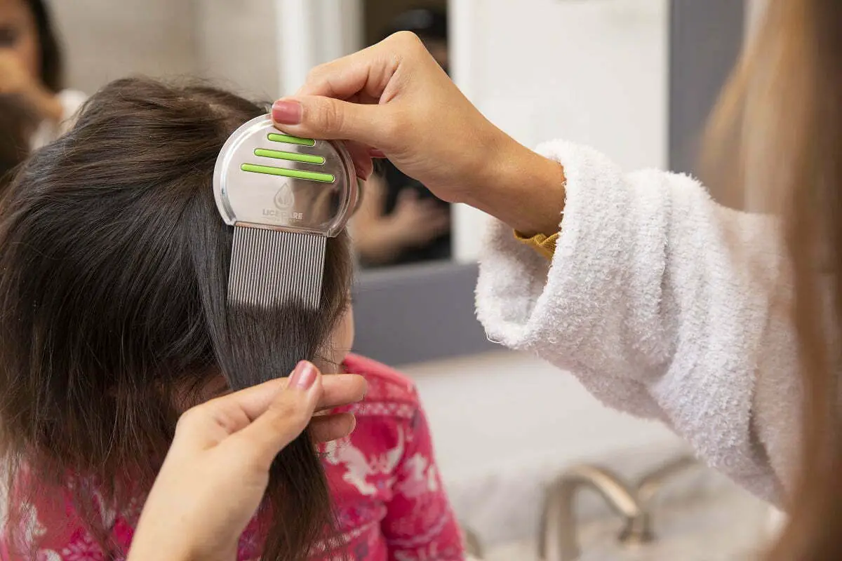 lice treatment