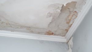 Is Water Damage From Leaking Shower Covered by insurance? – Promt Insurance